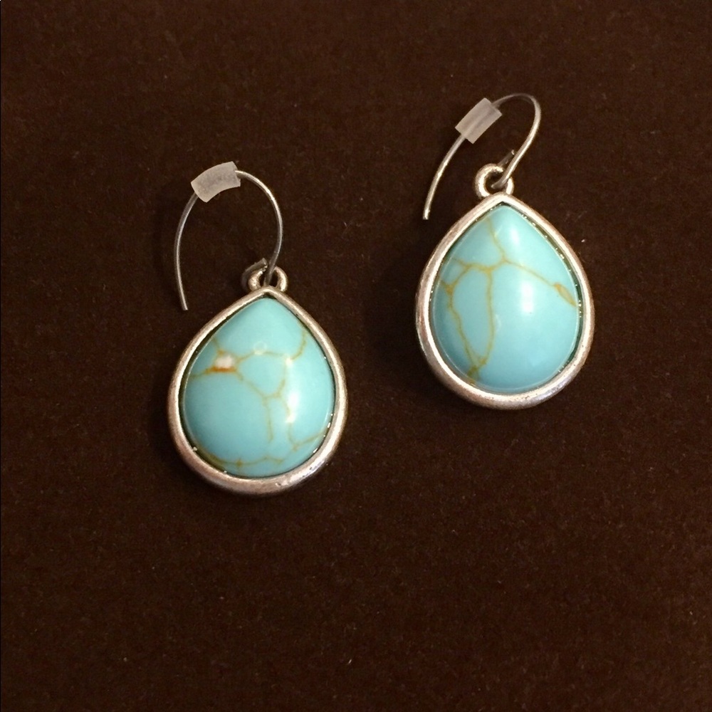 Fossil Turquoise Colored Earrings